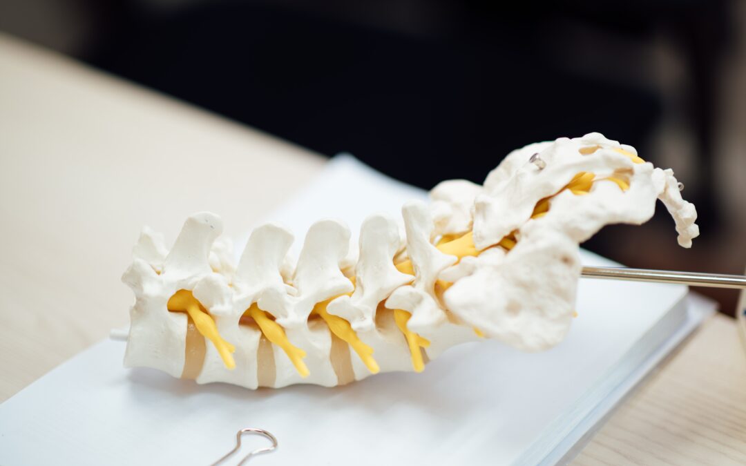 Soulager le système musculo-squelettique avec l’Ostéopathie